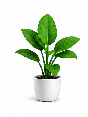 Plants