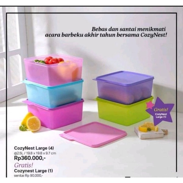 Tupperware Cozynest large cozy nest 2,5L