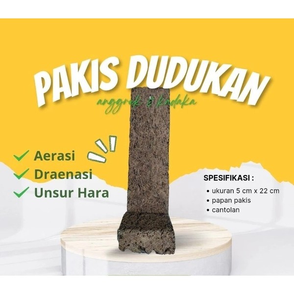 Pakis Lempeng dengan Dudukan Plus Cantolan untuk Anggrek media tanam anggrek