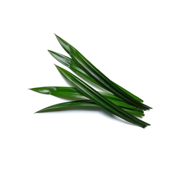 Daun Pandan Segar