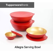 Tupperware Allegra bowl dilengkapi tutup seal kedap anti tumpah