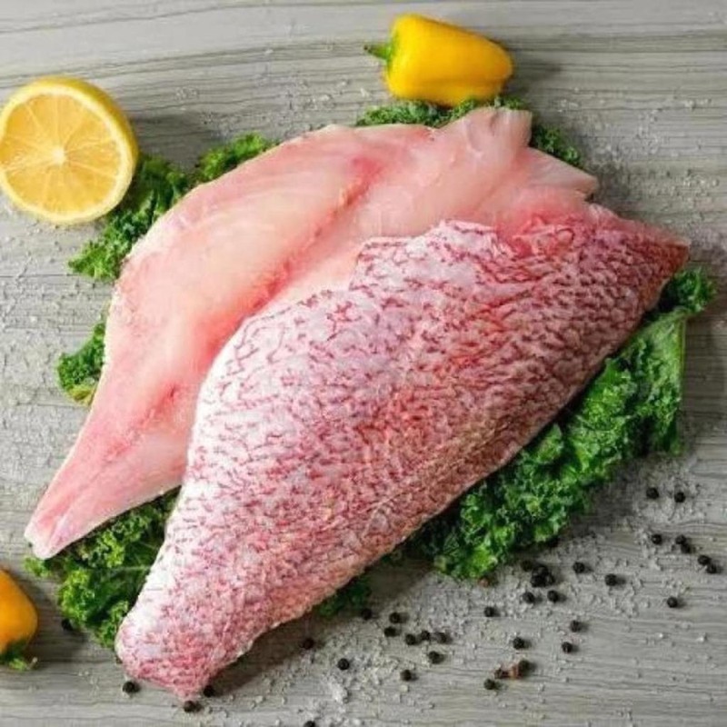 Ikan Kakap Merah Fillet Fillet Kakap Merah besar