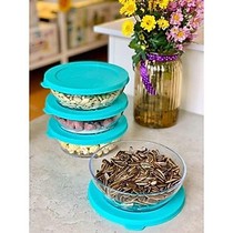 tupperware clear bowl Tosca