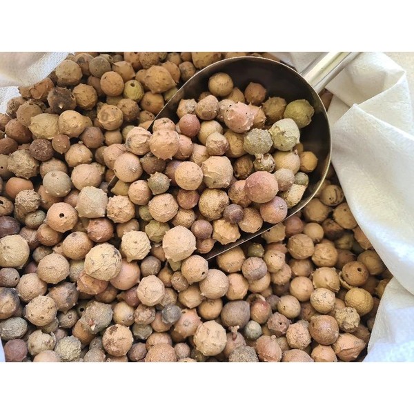Buah Manjakani 100g  Buah Majaan Buah Majakani Kualitas Bagus