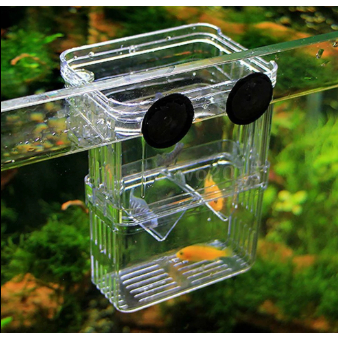 Breeding Box Guppy Isolation Box Karantina ikan