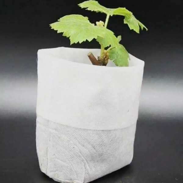 Polybag semai Pot Biodegradable Polybag Semai Non Woven Nursery Pot Benih bibit Putih 8 x 10