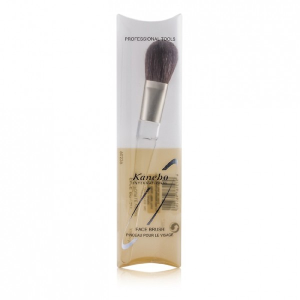 kanebo face brush Kanebo Sensai Face Brush
