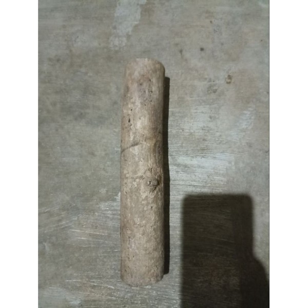 kayu jati untuk tempel anggrek