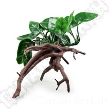 Fishland Tanaman Artifisial Akuarium 25 Cm