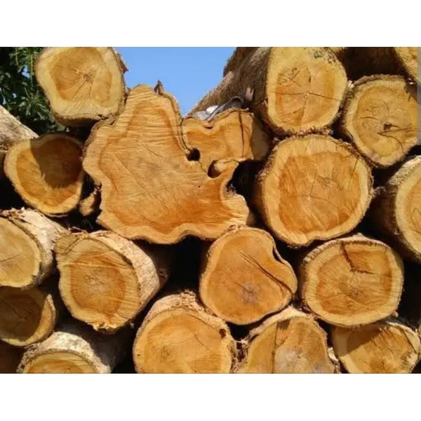 kursi kayu jati utuh log kayu jati