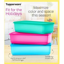 Tupperware Pak N Stor 1.5L paknstor pack n stor
