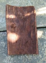 Pinus lempeng papan pinus