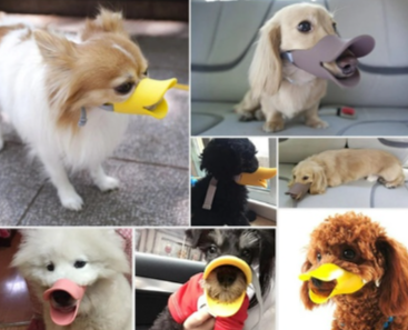 Penutup Mulut Anjing Brongsong Bentuk Bebek Silikon Anti Gigit Penutup Mulut MUZZLE SILIKON Brangus BERANGUS