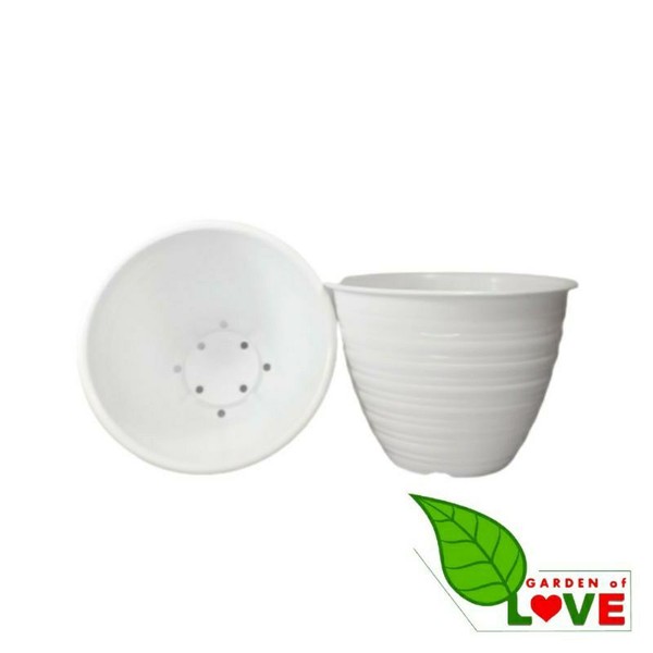 Pot Super Tawon 27x4pcs Putih By Garden Of Love
