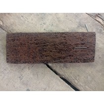 Pakis Lempeng 25x8cm media tanam anggrek K