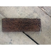 Pakis Lempeng 25x8cm media tanam anggrek K