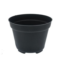 Pot Bibit 8 cm Hitam pot kaktus