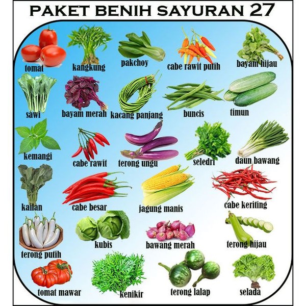 Benih tanaman sayur sayuran Cabai Buah Buahan