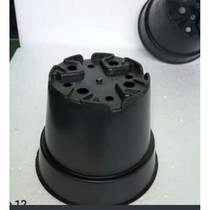25pcs Pot grace 15