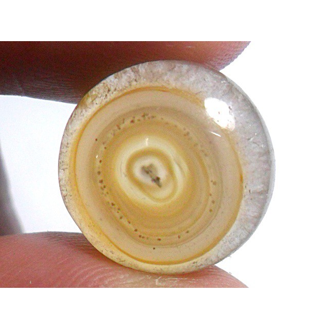 AG108 Round Cabochon 9ct 14mm Golden Brown White 'Greek Evil Eye' Picture Agate Natural Lucky Charm