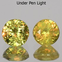 Pair Round 0.42ct tcw 2.5x2.3mm Horesetail Signature Green Color Natural Demantoid garnet GD109