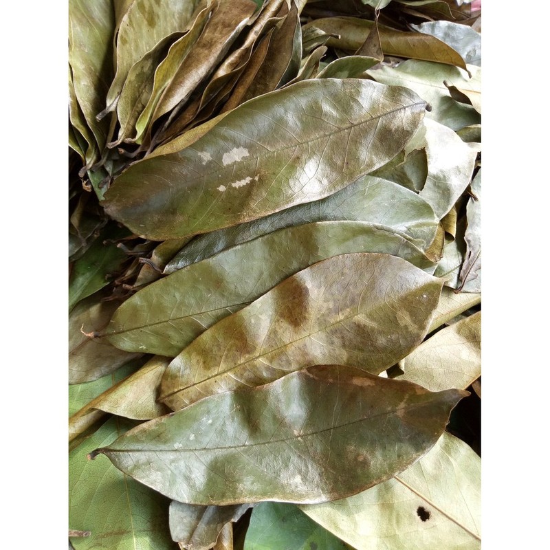 Daun Sirsak Kering 100gr