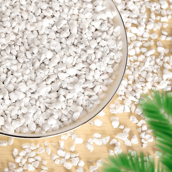 Perlite 200gram Perlit Media Tanam kaktus anggrek Calathea aglonema supaya porous