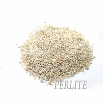 Perlite 200gram Perlit Media Tanam kaktus anggrek Calathea aglonema supaya porous