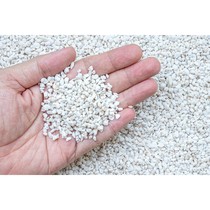 Perlite 200gram Perlit Media Tanam kaktus anggrek Calathea aglonema supaya porous