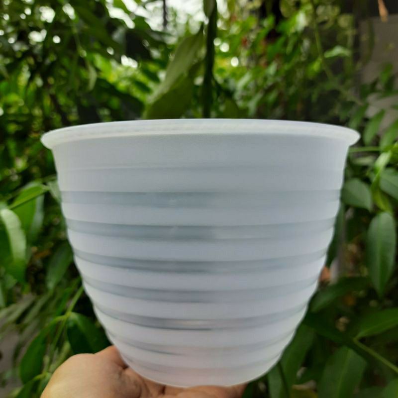 pot transparan model tawon pot bening pot bunga