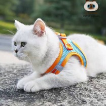 Tali Rompi Tuntun Anjing Rompi kucing rompi harness tali tuntun Harness ROMPI Rompi Harness Modis Mesh Lembut dengan Tali Pengikat Reflektif Harness
