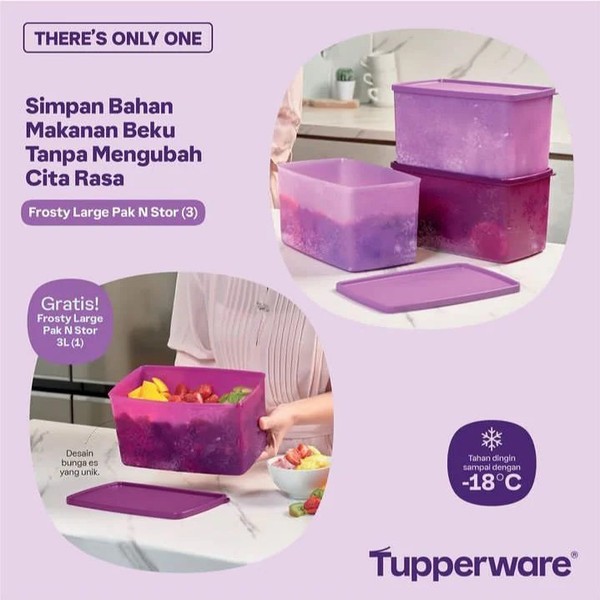 Tupperware Freezermate 3L Large Pak N Stor Untuk Wadah Penyimpanan Di Freezer Tahan Beku 3L Desain Modern Mudah Dibersihkan