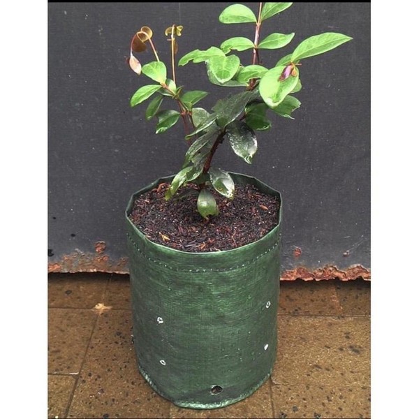 EASY GROW Planter Bag 3Liter
