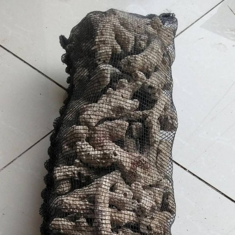 Karang Jahe plus waring Media Filter Aquarium 1kg - Menaikkan pH, Filter Biologis, Dekorasi Alam