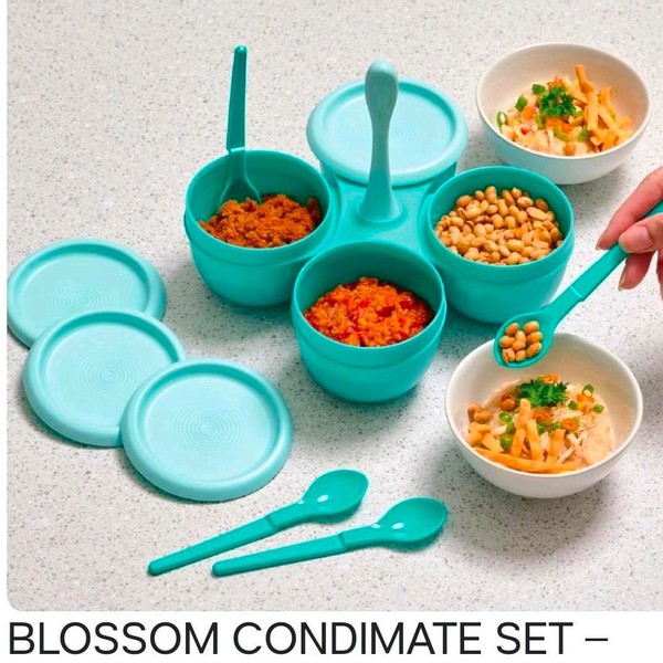 TUPPERWARE Condimate Set 4 Jenis Makanan Anti Bocor Sendok Turquoise 250ml
