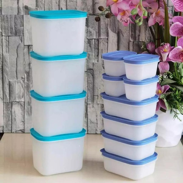 Tupperware Freezermate gen II Frozy Cozy Frosty wadah penyimpanan kulkas freezer bahan lentur